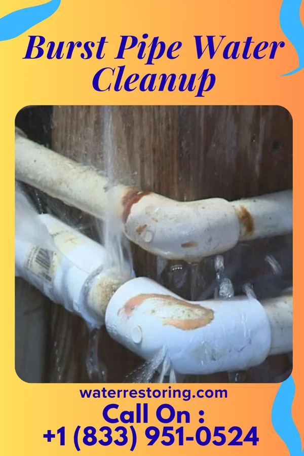 Burst Pipe Water Cleanup in Oconee, IL