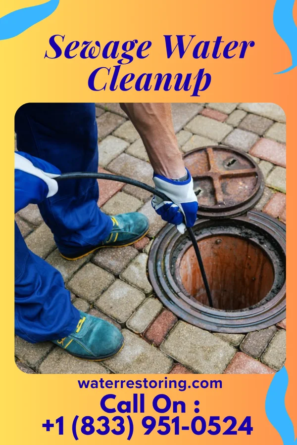 Sewage Water Cleanup in Oconee, IL